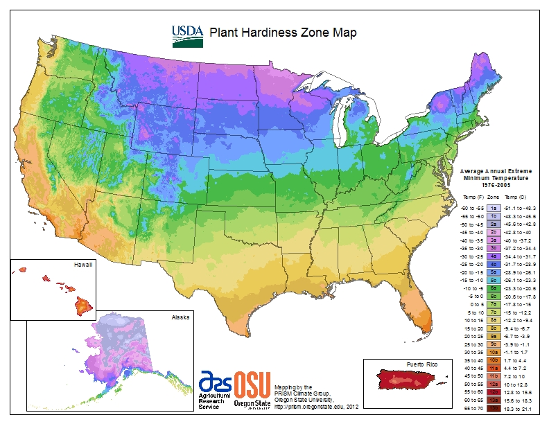 Photos on How to Find Your Plant Hardiness Zone