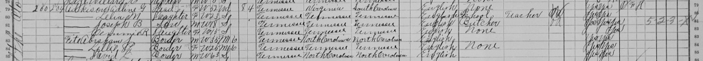 Adkisons in 1910 Census - Who Lived in Our Home