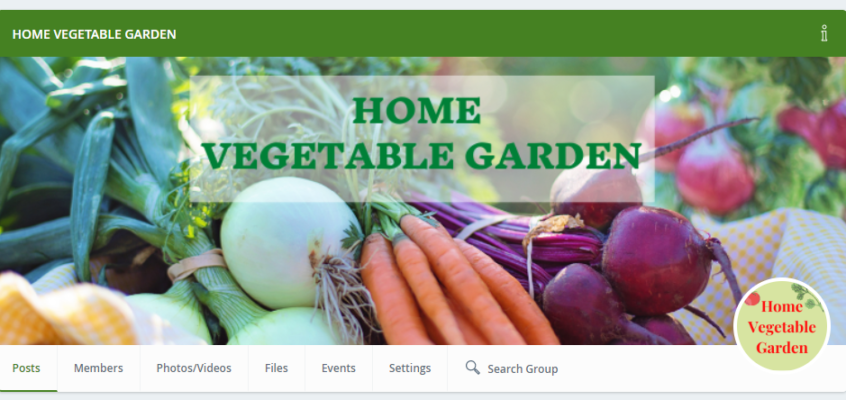 How the Home Vegetable Garden Blog Started