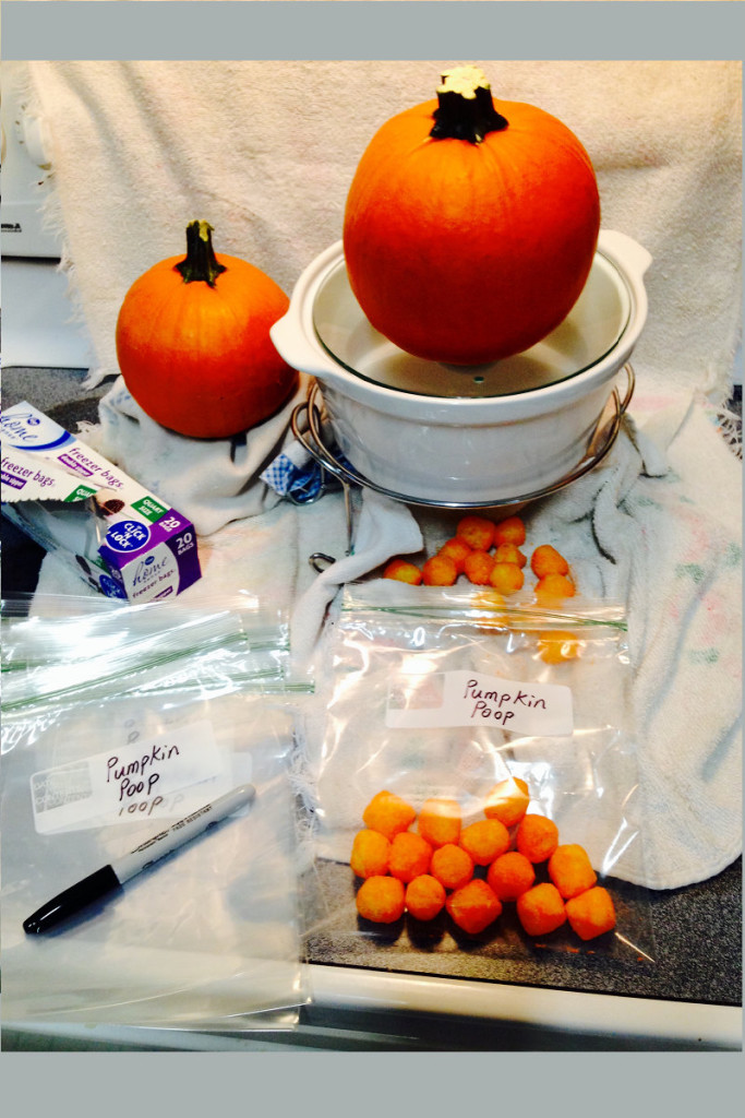 Halloween Pumpkin Poop