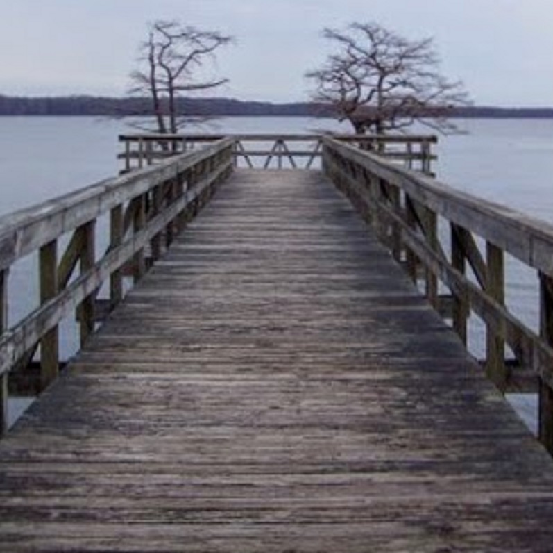 Reelfoot Lake wooden dock