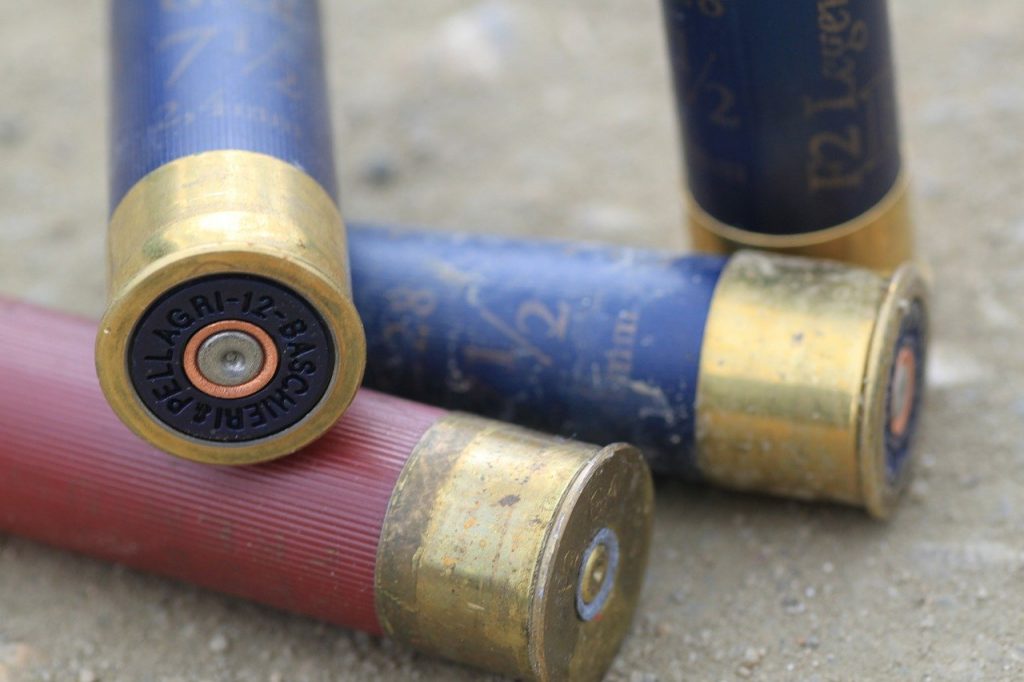 Cartridge Cases Ammunition Shotgun 