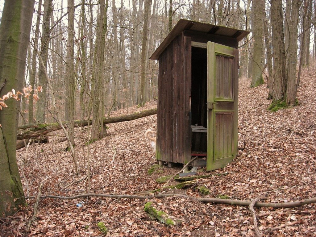Homes - Toilet Loo Public Toilet Old Toilet