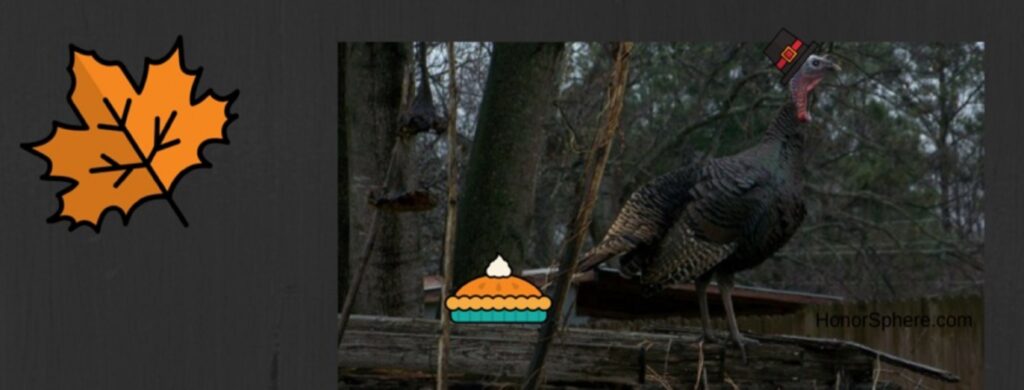 Thanksgiving...Turkey